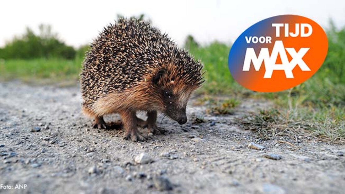 Tijd voor MAX